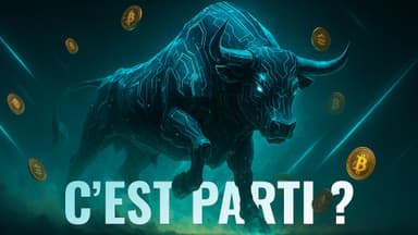 illustration de l'article