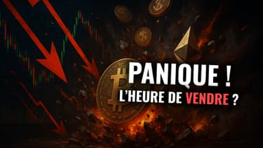 illustration de l'article